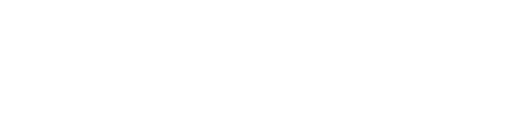 white 2excel logo